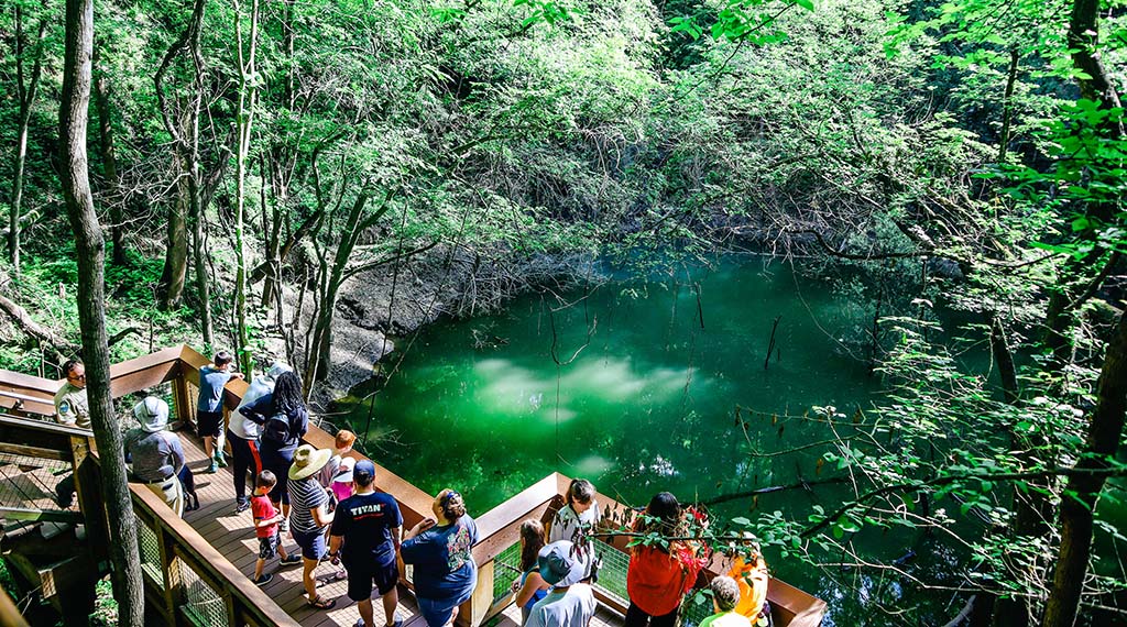 View of a sinkhole at Devil's Millhopper Geological State Park in Gainesville, FL, showcasing the unique geological feature and surrounding lush vegetation.